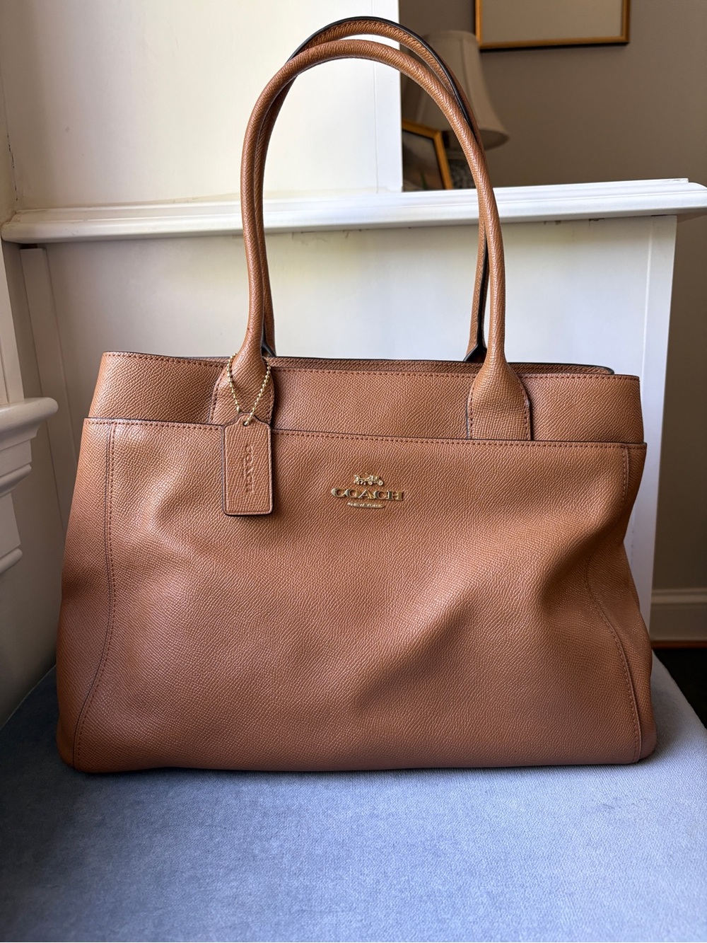 Coach Casey Tote Bag in Brown